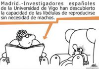 humor9 humor9